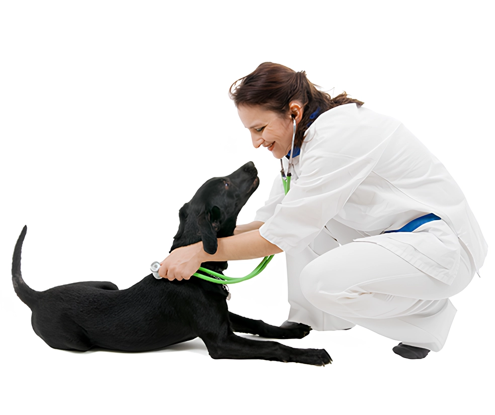 Caudle Veterinary Clinic