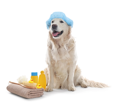 Caudle Veterinary Clinic