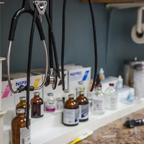 Caudle Veterinary Clinic