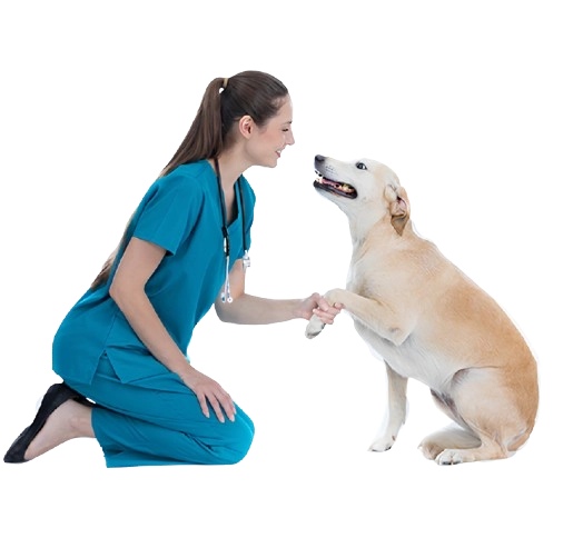 Caudle Veterinary Clinic